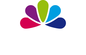 Logo Veldhuizen Grafisch Effect